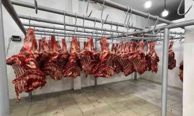 Exportación de carne