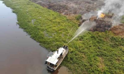 Bomberos forestales