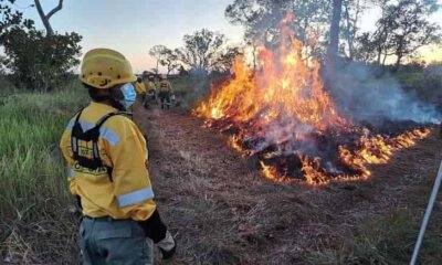 Incendio forestal