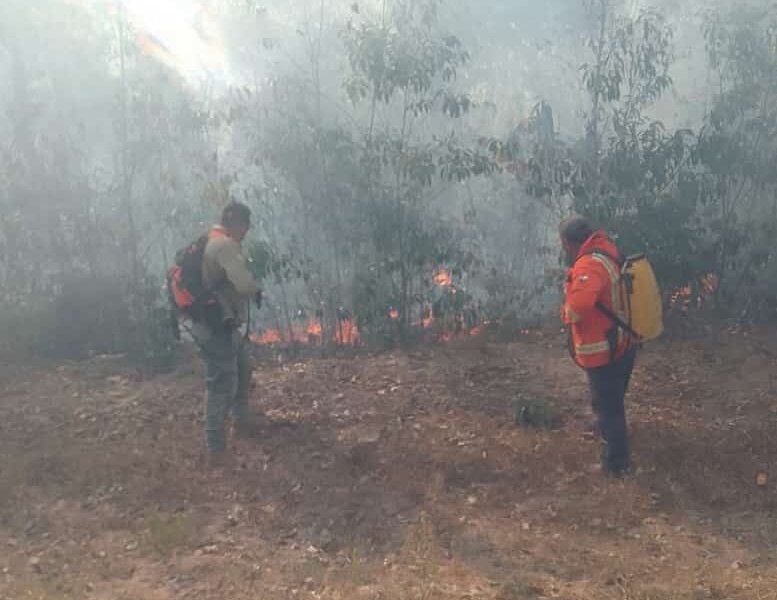 Incendios forestales