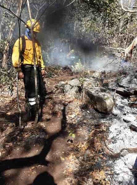 Incendios forestales