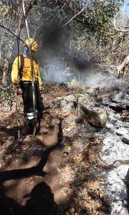 Incendios forestales