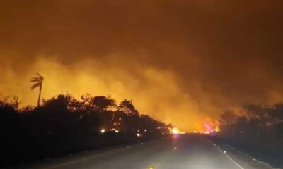 Bomberos forestales