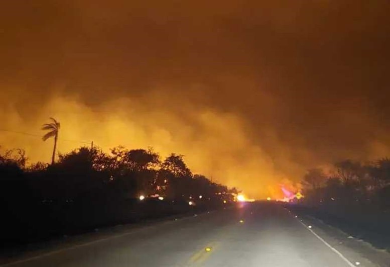 Bomberos forestales