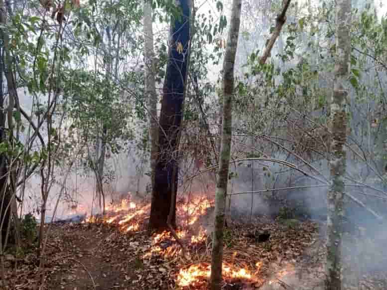 Incendios forestales