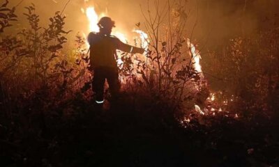 Bomberos forestales