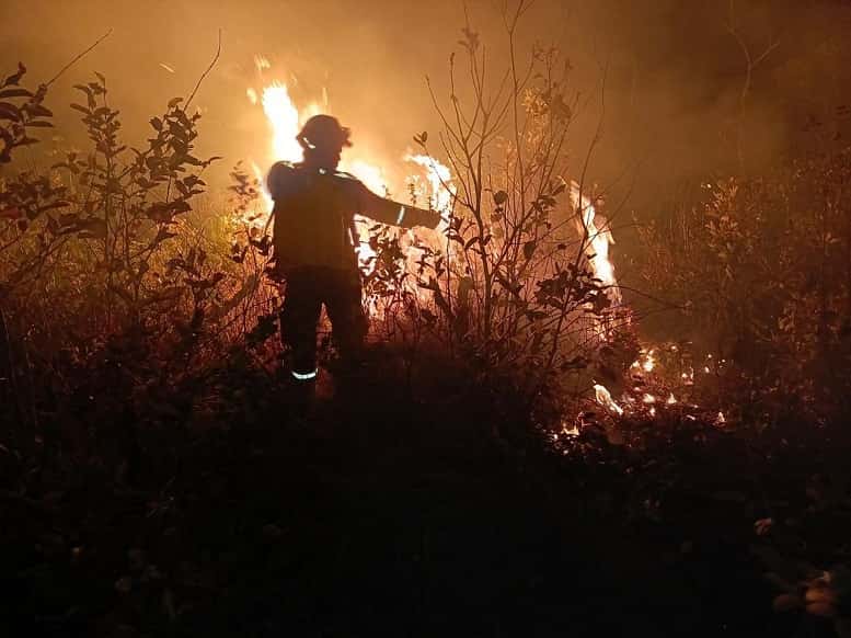 Bomberos forestales