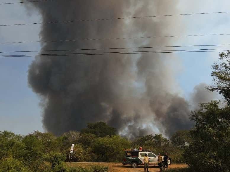 Bomberos forestales