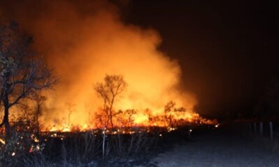 Incendios forestales