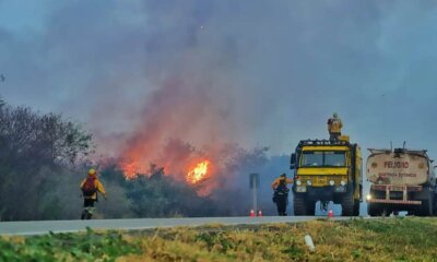 Bomberos forestales