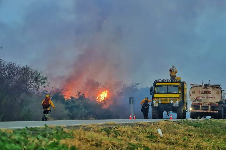 Bomberos forestales