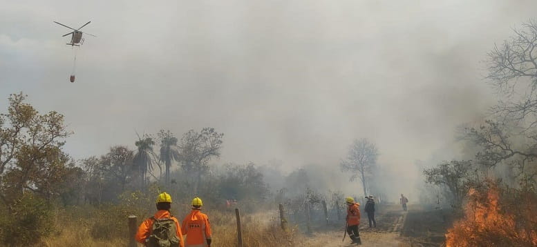 Incendios forestales