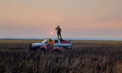 Incendios forestales