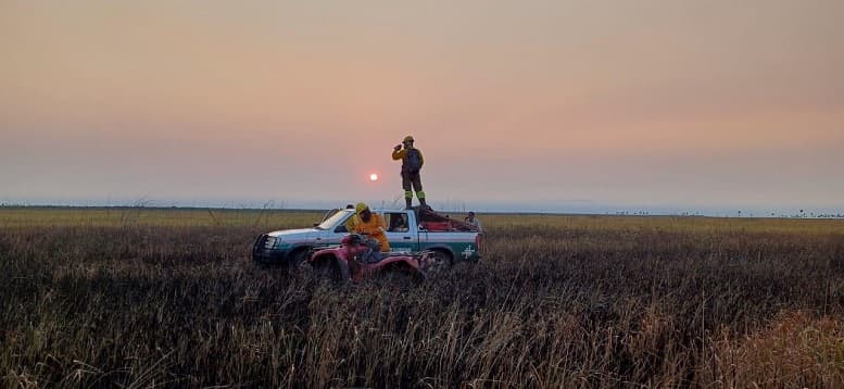 Incendios forestales