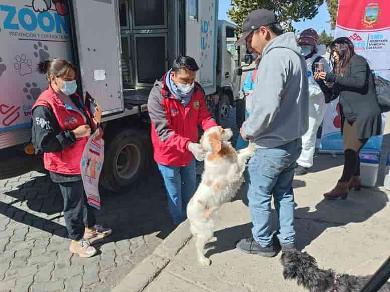 Vacunación de mascotas